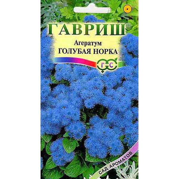Агератум Голубая норка (Сад ароматов)Гавриш Ц