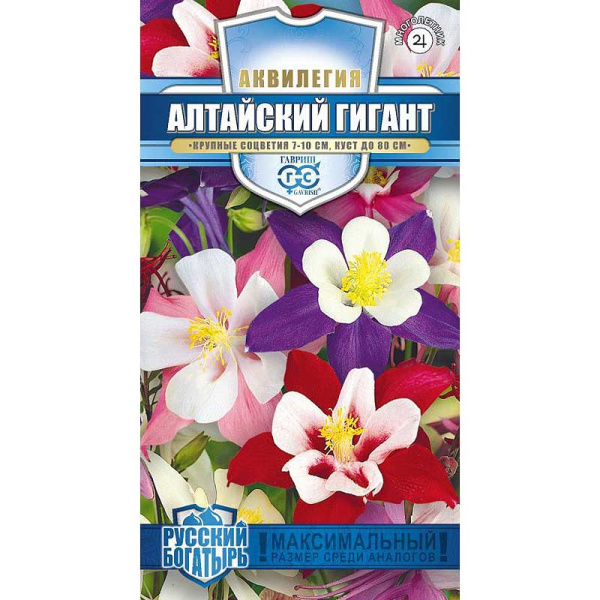 Аквилегия Алтайский гигант Гавриш Ц
