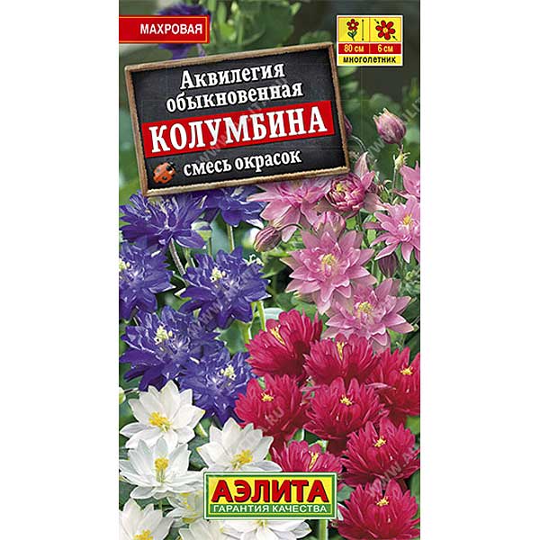 Аквилегия Колумбина смесь окрасок Аэлита Ц