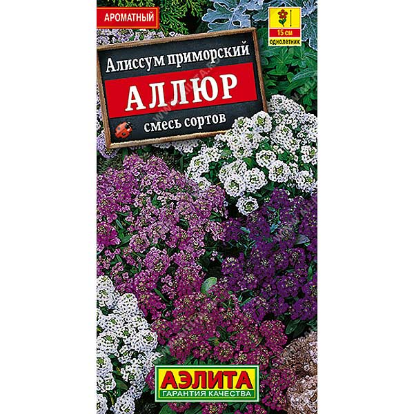 Алиссум Аллюр смесь Аэлита Ц