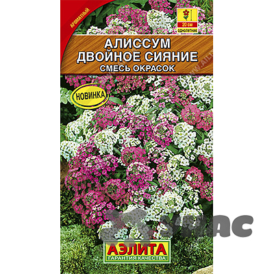 Алиссум Двойное сияние смесь Аэлита Ц