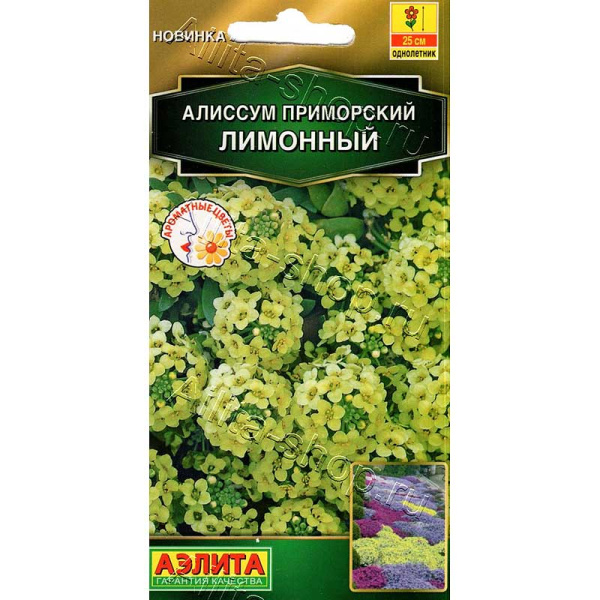 Алиссум приморский Лимонный Аэлита Цх10