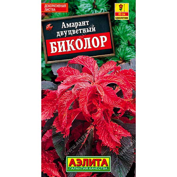 Амарант Биколор Аэлита Ц