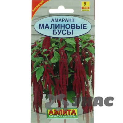 Амарант Малиновые бусы Аэлита Ц