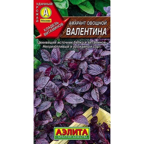 Амарант Валентина овощной Аэлита Ц