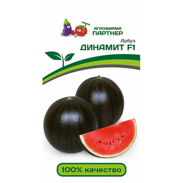 Арбуз Динамит Партнер Ц