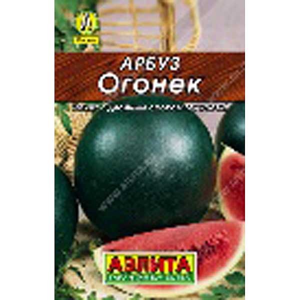 Арбуз Огонек «Лидер» Аэлита Ц