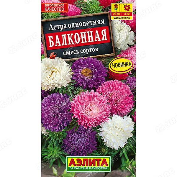 Астра Балконная смесь Аэлита Ц