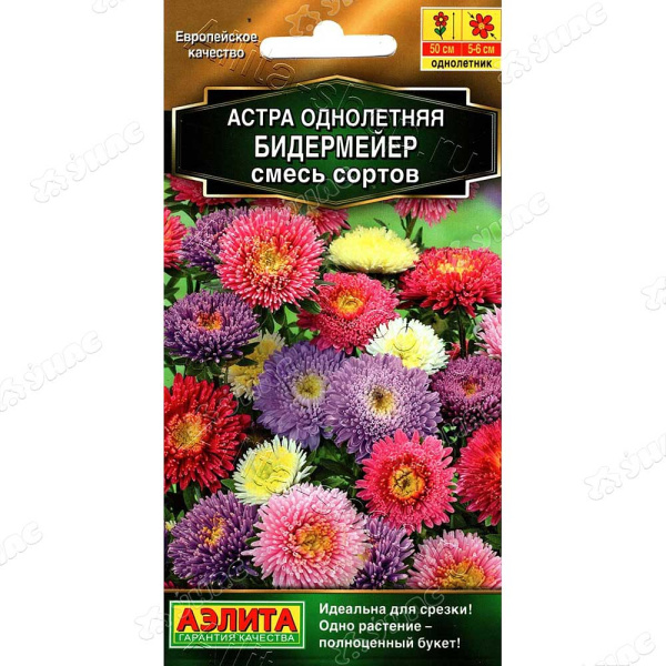 Астра Бидермейер смесь Аэлита Ц