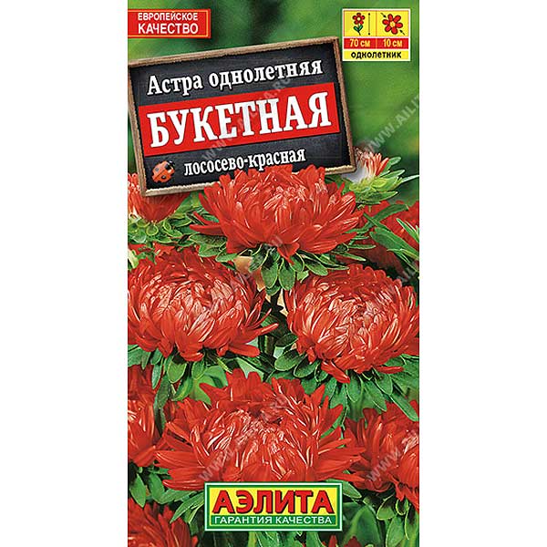 Астра Букетная лососево-красная Аэлита Ц