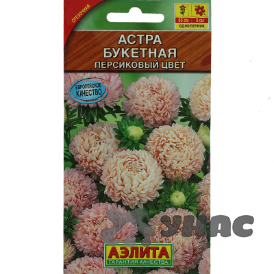 Астра Букетная персиковый цвет Аэлита Ц