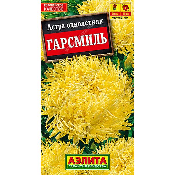 Астра Гарсмиль Аэлита Ц