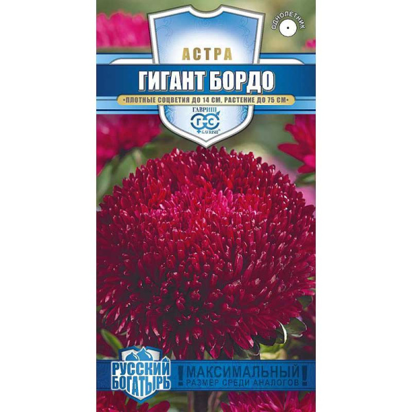 Астра Гигант бордо Гавриш Ц