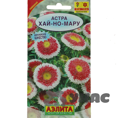 Астра Хай-но-мару помпонная Аэлита Ц
