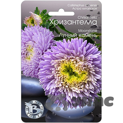 Астра Хризантелла Лунный камень Биотехника Ц