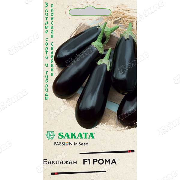 Баклажан Рома Гавриш Ц