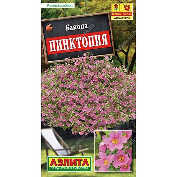 Бакопа Пинктопия Аэлита Ц