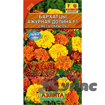 Бархатцы Ажурная долина триплоидные Аэлита Ц