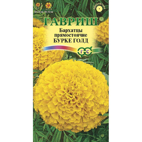 Бархатцы Бурке Гольд Гавриш Ц