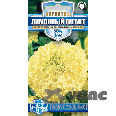 Бархатцы Лимонный гигант Гавриш Ц