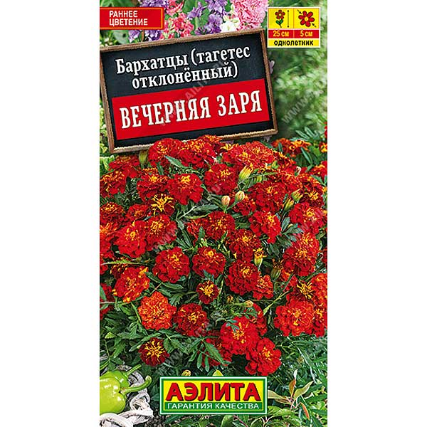 Бархатцы Вечерняя заря Аэлита Ц