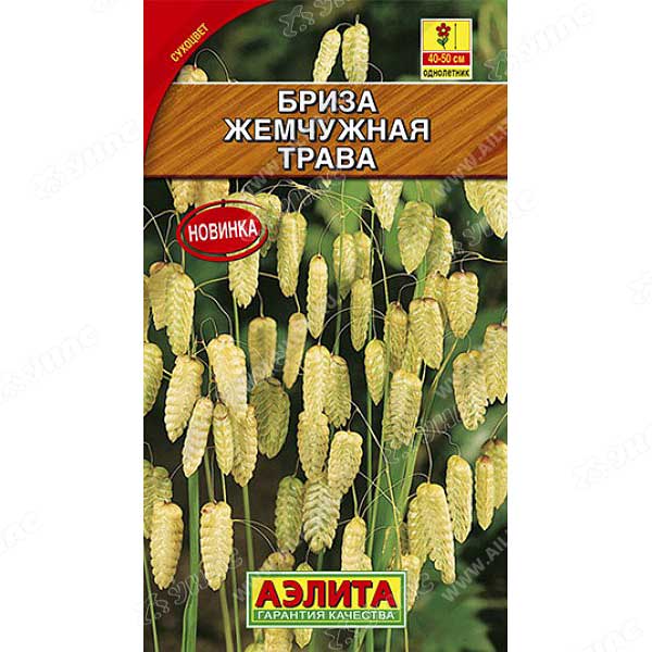 Бриза Жемчужная трава Аэлита Ц