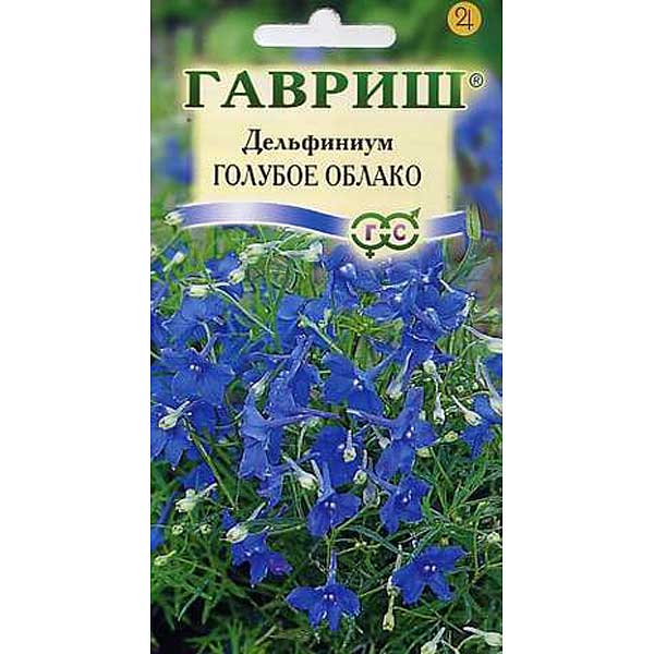 Дельфиниум Голубое облако Гавриш Ц