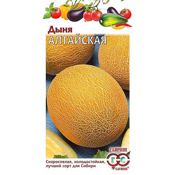 Дыня Алтайская Гавриш Ц