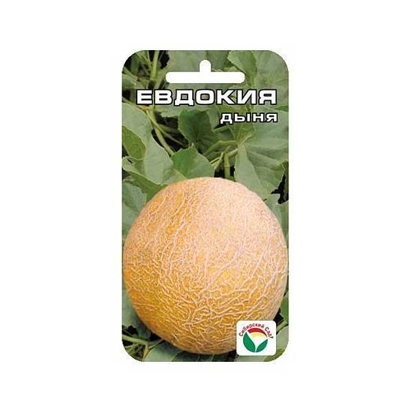 Дыня Евдокия СибСад Ц