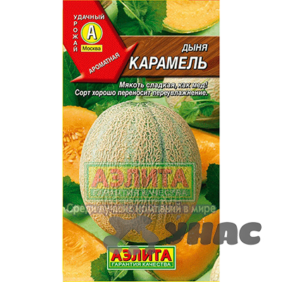 Дыня Карамель Аэлита Ц