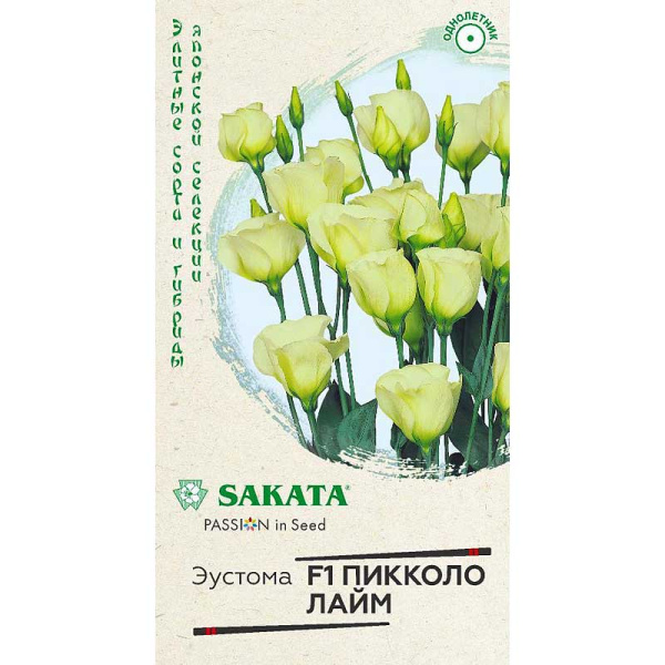 Эустома Пикколо Лайм Гавриш Цх10