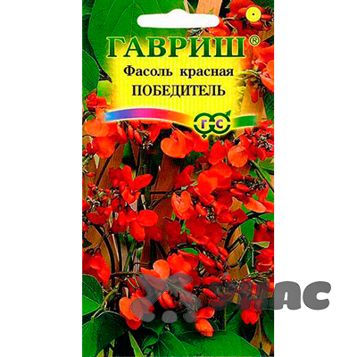 Фасоль декоративная Победитель Гавриш Ц
