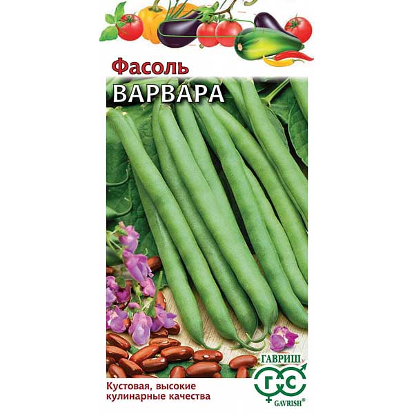 Фасоль Варвара Гавриш Ц
