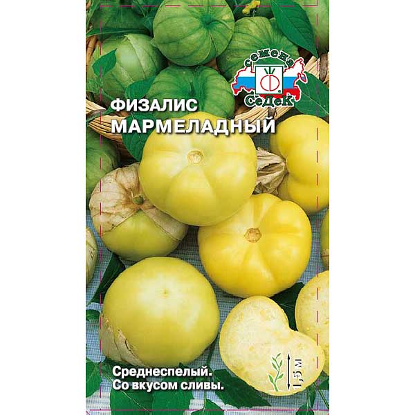 Физалис Мармеладный Седек Ц