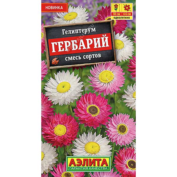 Гелиптерум Гербарий Аэлита Ц