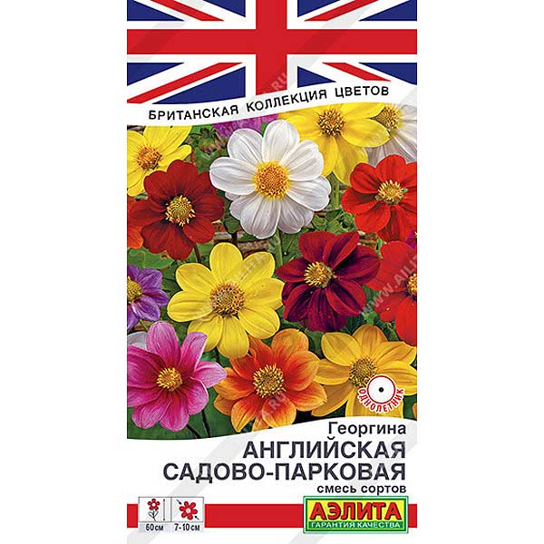 Георгин Английский садово-парковая смесь Аэлита Ц