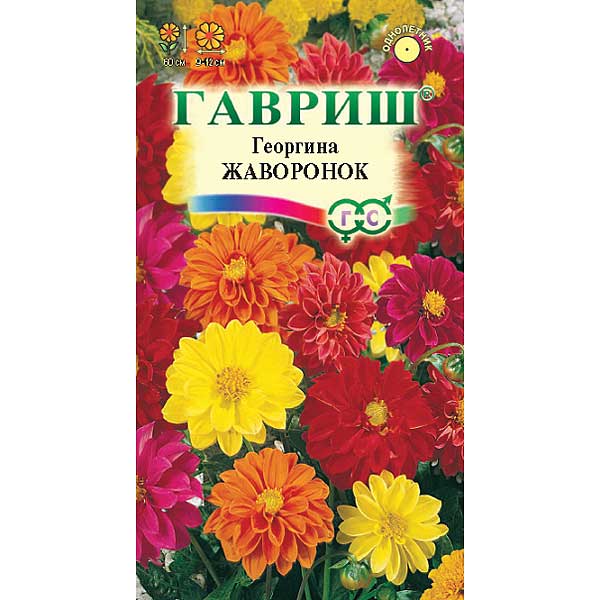 Георгин Жаворонок смесь Гавриш Ц
