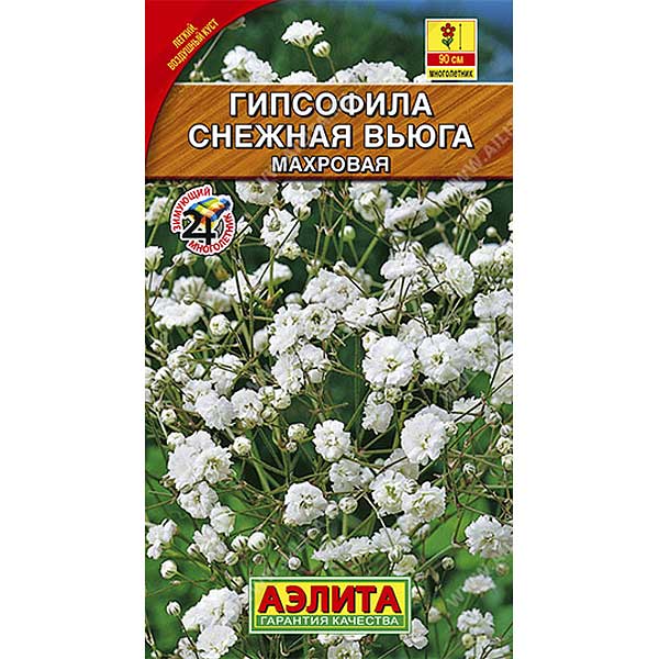 Гипсофила Снежная вьюга Аэлита Ц