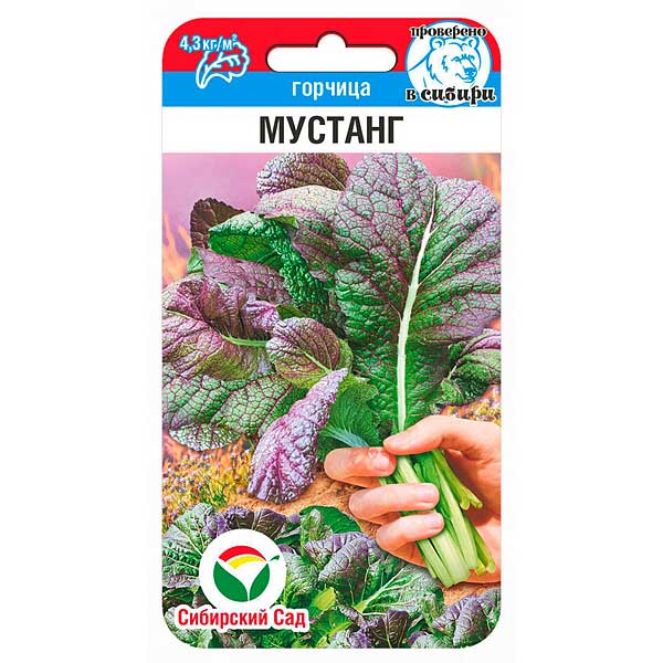 Горчица Мустанг СибСад Ц
