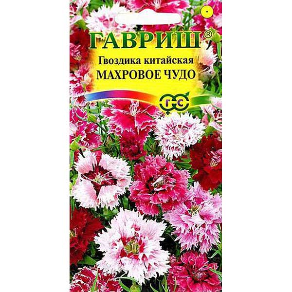 Гвоздика китайская Махровое чудо смесь Гавриш Ц