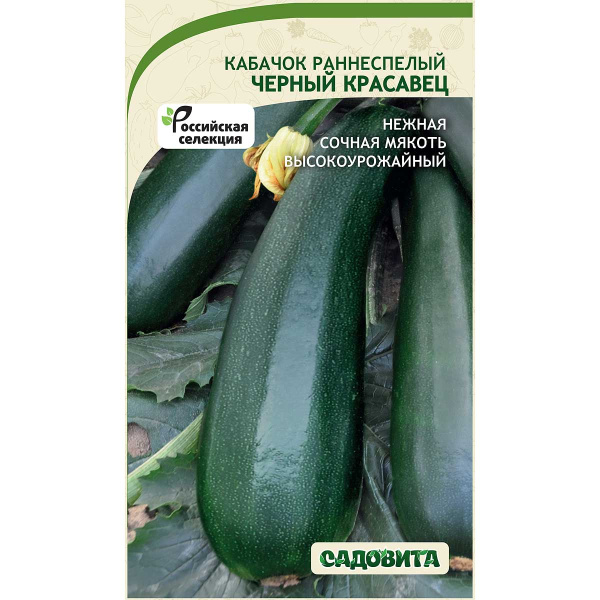 Кабачок Черный красавец 10шт Садовита Ц