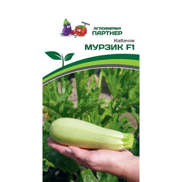 Кабачок МУРЗИК Партнер Ц