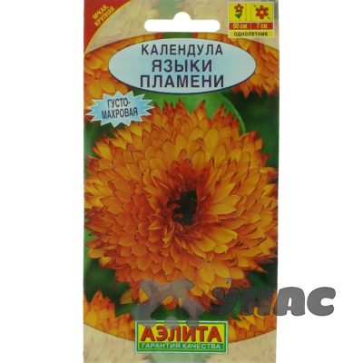 Календула Языки пламени Аэлита Ц