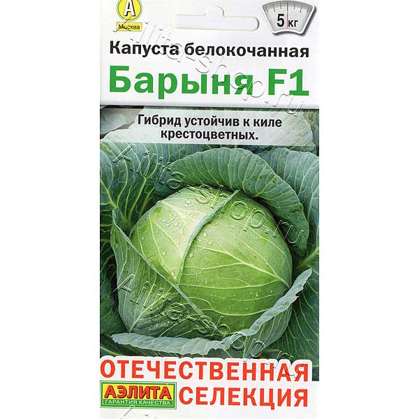 Капуста Барыня Аэлита Ц
