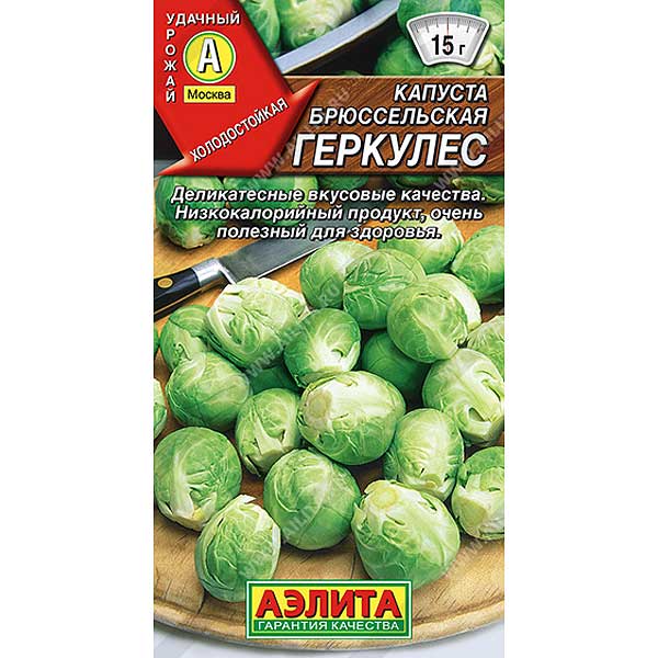 Капуста брюссельская Геркулес Аэлита Ц