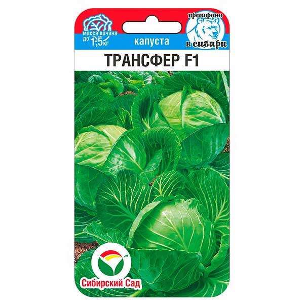 Капуста Трансфер СибСад Ц