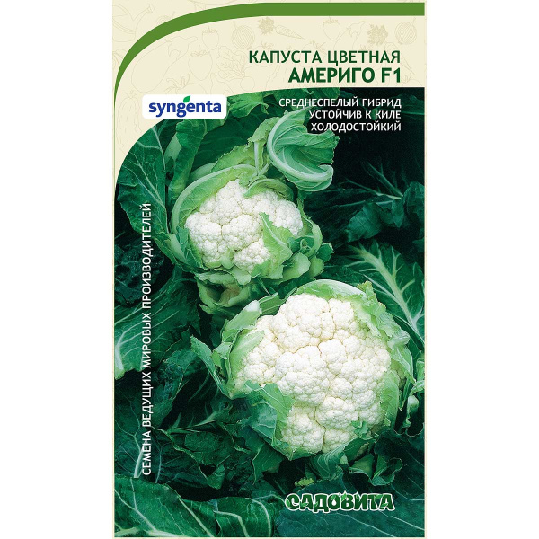 Капуста цветная Америго F1 10шт Syngenta/Садовита Ц