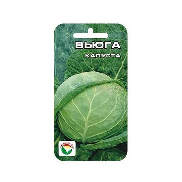Капуста Вьюга СибСад Ц