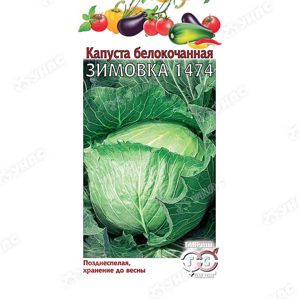 Капуста Зимовка Гавриш Ц