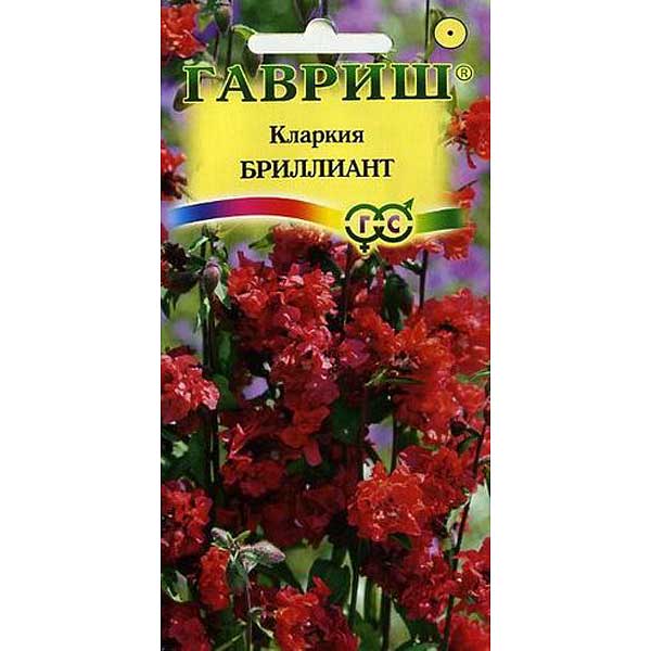 Кларкия Бриллиант, изящная Гавриш Ц